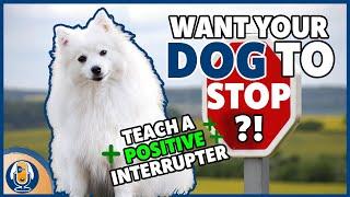 Teach Your Dog A Positive Interrupter To Stop Unwanted Behavior: Step by Step Training