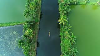 Drone Footage - Bird's Eye View Kerala Backwaters | Pallithode Alappuzha