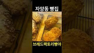 협찬) 빵 맛집 bread