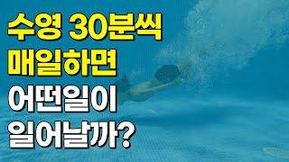 매일 30분 수영하면 몸에서 일어나는 변화 5가지!