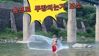 충주 삼탄유원지-쏘가리 은어 투망 가자
