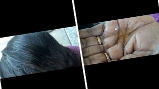 Routine Lightly oiling for my black silky hair//care nitpicking//licepicking.....