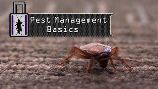 Insect Lockdown 1.1: Pest Management Basics