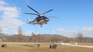 Vaja specialne enote policije I