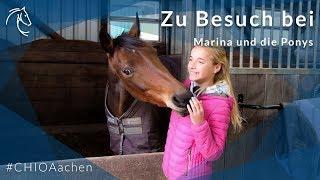 Zu Besuch bei: Marina und die Ponys