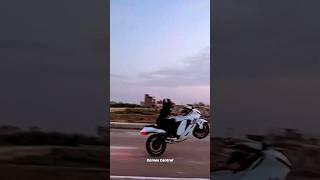 HSB OFFICIAL Hayabusa Wheelie  || Hayabusa Lover’s || #viral #shorts