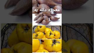 فواید دانه به برای گلو