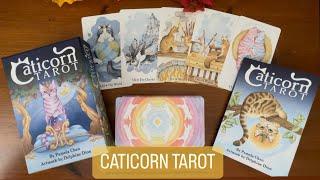 Caticorn Tarot | ⭐️Pre Release⭐️| Full Flip Through