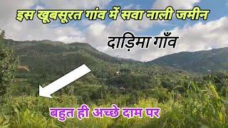 Sawa Nali 300 Gaj Land In Darima Village Mukteshwar ️ Just...... Lakhs ? Mukteshwar Property