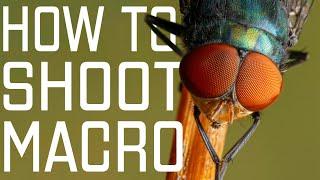 Your Step by Step Guide To Amazing Macro Photography