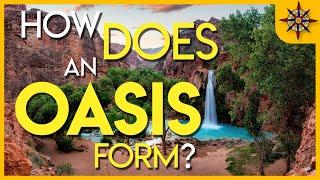 How Does An Oasis Form?