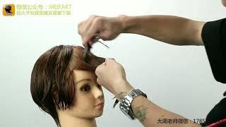 Hair beauty course  美发课堂   How to cut short hair page 1商业短髮二分区修剪技术]