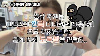 광고X [1년만에 한국 다녀와서 사온 미국 삶의 질 상승템] 근데 이제 도둑년을 곁들인..