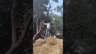 #1ksubscribers #video #shortvideo #armylover #viralshorts