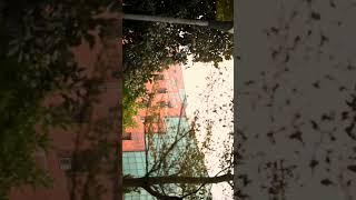 I.k.Gujral Punjab technical university main campus || kapurthala || Sam Ashish|| #shorts #samashish