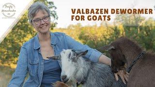 Day 2 -- Using Valbazen dewormer for goats