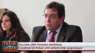 İtalyan çimi tohumu dağıtıldı