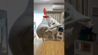 [Umapyoi Densetsu] I thought it was a cool sound but it's my mom #viral #fnf #rhythmgame #chickenmom