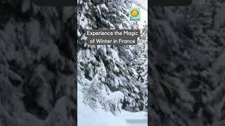 Experience the Magic of Winter in France | Holiday Hub