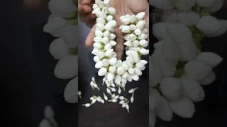 how to make jasmine flower garland with needle | jasmine garland making with needle |#ytshorts#short