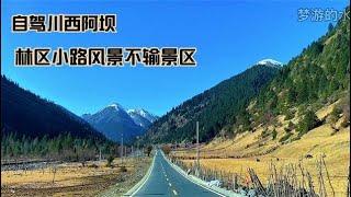 自驾川西，阿坝州河谷一条公路，穿梭于原始森林，人迹罕至却很美