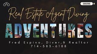 Real Estate Agent - Diving Adventures