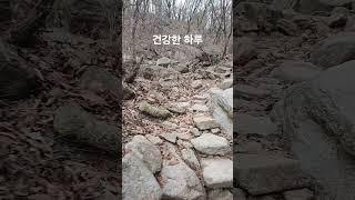 건강한 하루 #김일교수 #여행 #인생은행복해 #생각명료화전문가김일교수 #걷기전문가 #travel #자연의힘 #수락산행