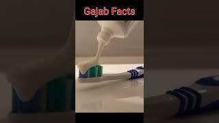 #FACTS #Facts #facts #gajab #facts #facts #facts #facts #facts #facts #fact #facttechz #facts #facts