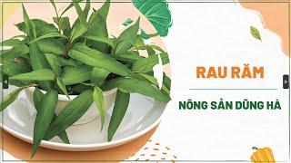 Rau Răm và Đời Sống Sức Khỏe: Những Bí Mật Cần Phải Biết