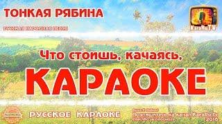 Караоке - "Тонкая рябина " Русская Народная песня Новая