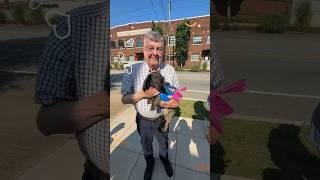 Grandpa in his element at dachshund meetup  #shorts