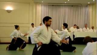 Aikido Shudokan 32nd Anniversary Demonstration - Jiyuwaza Competition