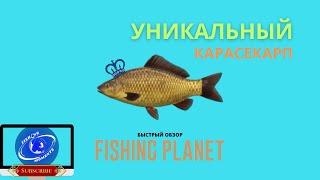 Fishing Planet |Угодья Виппинг Виллоу | Уникальный карасекарп - прикорм + метка | Быстрый обзор