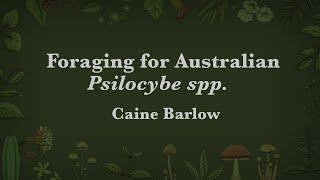 Caine Barlow - Foraging for Australian Psilocybe spp.