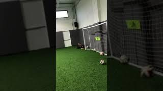 Private Soccer Training 1