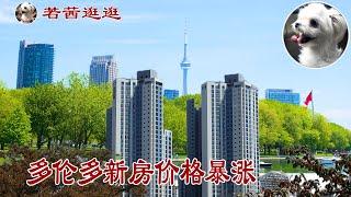  多伦多新房价格暴涨31% 租金再涨19% 销量惨跌85%，2206乱了？加拿大房地产热点系列