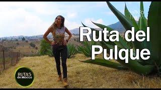 Rutas de México | Ruta del Pulque | Tepotzotlán, Estado de México | 2x02