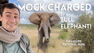 Tanzania Safari VLOG - Our Wild Day in Tarangire National Park