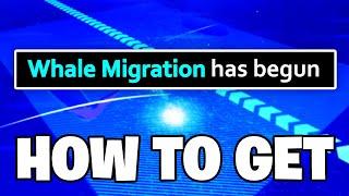 Roblox Fisch - HOW TO SPAWN WHALE MIGRATION (Full Guide - Blue Whale, Moby)