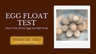 Egg Float Test, How I Test If Our Eggs are Still Fresh