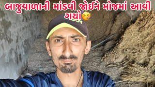 Enjoyed seeing Mandvi ️ | Gujju Gotiklo | Life | Full Vlogs