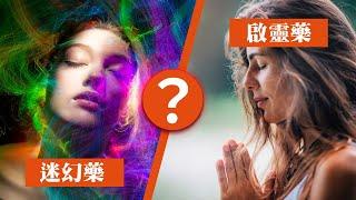 什麼是迷幻藥？什麼是啟靈藥？ 迷幻蘑菇| 迷幻仙人掌| LSD|DMT |啟靈藥 | 迷幻藥（警示教育）