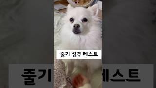 줄기로운 성격 테스트