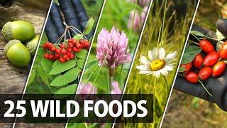 25 Edible Plants, Berries and Trees for Wilderness Survival