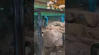 Makkah Hajj Umra 2025 #saudiaarbia #mekkah #shortsvideo Makkah Umra #shortsvideo