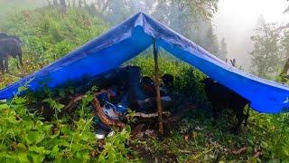 Nepali Mountain Village Life | Organic Shepherd Food | Shepherd Life | Real Nepali Life |