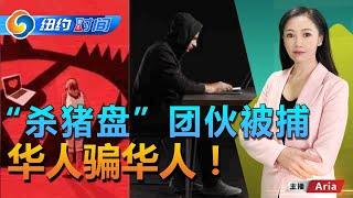 “杀猪盘”团伙被捕 几乎全华人；骗局大揭秘 各种伪造；洗钱$5200万涉贩毒；检方反对保释；如何防止杀猪盘？纽约时间 10/17