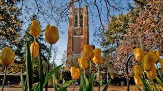 Michigan State University College of Law - The Campus Experience