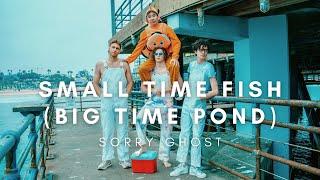 sorry ghost - small time fish (big time pond) [official music video]