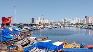 MAVİŞEHİR CANLI YAYIN 22 HAZİRAN PAZAR #balıkmezatı
